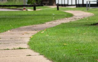 ‘i-don’t-accept-that-you-are-sorry’:-man-sentenced-over-daylight-rape-of-unconscious-woman-in-darwin-park