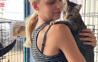 struggling-sa-cat-rescuers-urge-owners-to-desex-pets-as-yearly-peak-comes-months-early