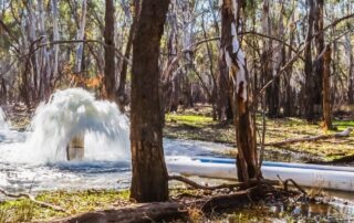 water-ministers-fail-to-find-path-forward-as-deadline-looms-for-murray-darling-basin-plan