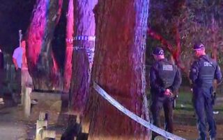 trail-of-blood-left-by-up-to-10-men-as-24yo-stabbed-to-death-in-sydney-park-brawl