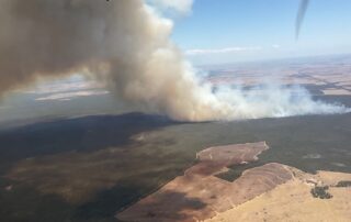 rfs-scrambles-interstate-waterbombers-as-fires-‘too-dangerous’-to-control-take-hold-in-queensland