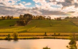 well-known-tasmanian-wine-brand-to-be-bottled-interstate