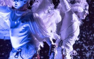french-‘feather-storm’-returns-to-womadelaide-prompting-environmental-debate