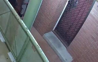 man-who-was-present-at-shooting-of-canberra-man-glenn-walewicz-jailed-for-more-than-10-years