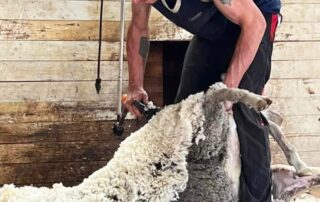 south-east-sa’s-‘tools-out-for-tommy’-to-raise-funds-for-late-shearer’s-family