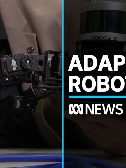 bug-inspired-robot-cameras-can-interpret-vision-sa-police-news-world