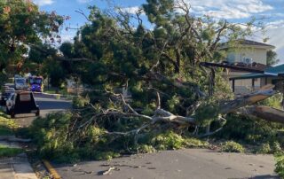 thousands-without-power-as-wild-winds-lash-adelaide