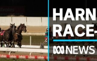 allegations-of-race-fixing-levelled-at-harness-racing-stable