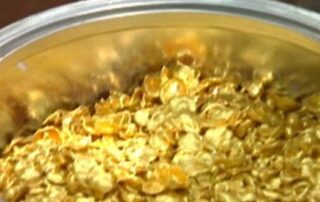 two-containers-of-pelletised-gold-was-found-on-the-perimeter-of-the-channel-7-complex.