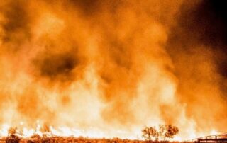 how-firefighters-saved-town-of-400-people-from-bush-inferno