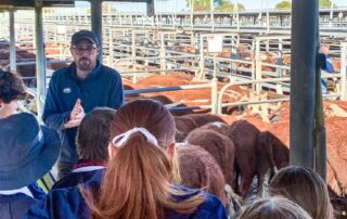 south-australian-schools-want-to-bring-back-agriculture-classes,-but-who-will-be-teaching-them?