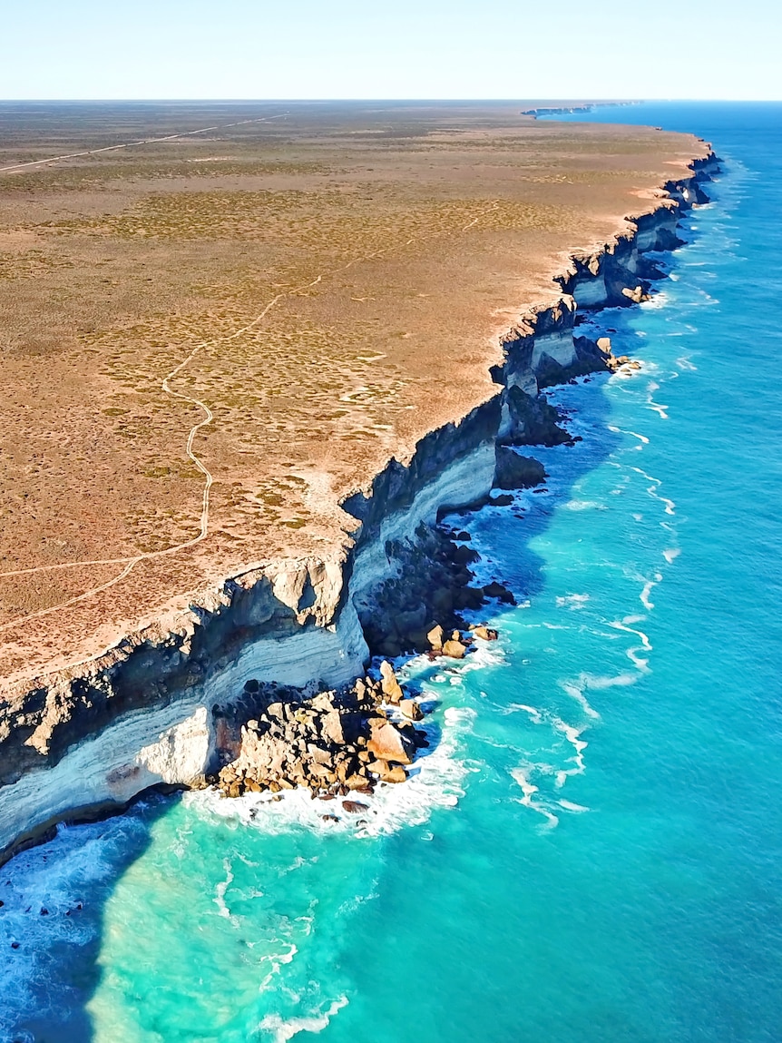 The Nullarbor Plain was once lushly forested. So what happened? : SA ...