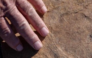 farmer-ross-has-spent-years-guarding-buried-treasure,-millions-of-years-old