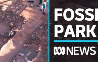 outback-sa-cattle-station-showcases-dawn-of-animal-life