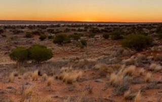 ‘they-had-a-coffee-machine-and-an-air-fryer’:-family-of-four-rescued-after-spending-five-days-stranded-in-desert