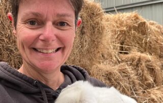 rabbits-being-dumped-due-to-rental-crisis,-rspca-at-capacity