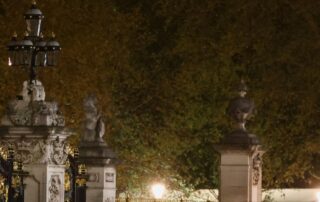 man-arrested-after-suspected-shotgun-cartridges-thrown-into-buckingham-palace-grounds