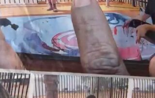 ‘horrified’-arts-minister-calls-for-national-probe-into-‘damaging’-indigenous-art-claims,-puts-galleries-on-notice