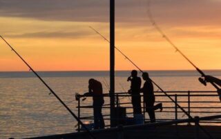 no-recreational-fishing-licences-for-sa-anglers-‘in-this-term-of-government’