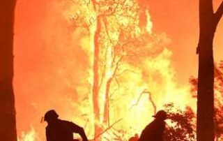 black-summer-bushfires-may-have-helped-trigger-rare-triple-dip-la-nina