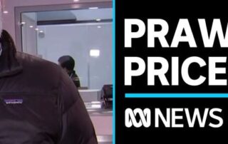 prawn-prices-have-halved-since-christmas