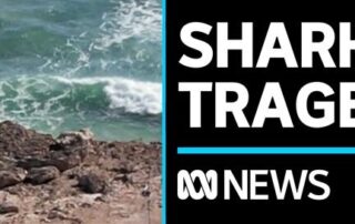 surfer-missing,-feared-dead,-following-reports-of-shark-attack