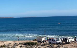surfer’s-board-recovered-after-suspected-fatal-shark-attack-off-sa’s-eyre-peninsula