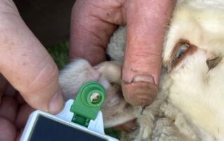 this-pocket-sized-gadget-could be-the-answer-to-stopping-livestock-theft