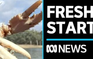 freshwater-crayfish-released-into-river-murray-in-attempt-to-revive-species