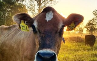 opening-farmgate-milk-price-revealed,-but-will-it-be-enough-to-stop-dairy-farmers-leaving-the-land?