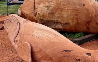 sculptor-breathes-new-life-into-fallen-red-gum,-carving-buttons-the-whale-and-her-calf-bobby