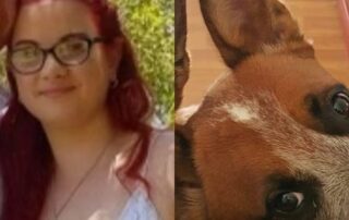while-carla-fights-for-life-after-an-alleged-hit-and-run,-her-family-is-searching-for-her-dog