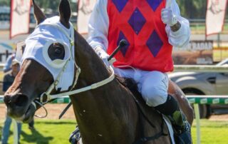 queensland-man-sentenced-for-‘gutless’-one-punch-attack-on-jockey