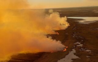 island-fire-on-‘sensitive’-great-barrier-reef-marine-plain-deliberately-lit,-rangers-say