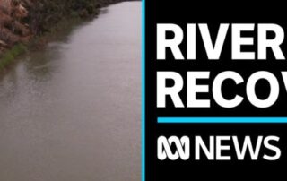 flooding-sparks-rebirth-for-sa-riverland-landscape