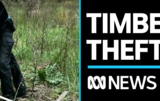 authorities-warn-of-organised,-large-scale-illegal-logging