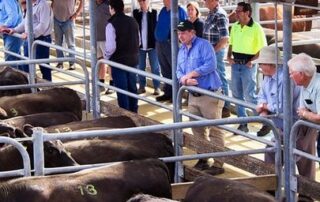 farmer-‘stripped’-of-livelihood-as-country-saleyard-shut-down