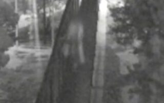 cctv-captures-‘mindless-act-of-violence’-that-fractured-guard’s-skull-as-banksia-hill-teen-sentenced