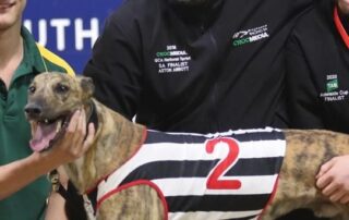 life-bans,-‘largest-fines-ever’-for-sa-greyhound-trainer-trio-involved-in-live-baiting
