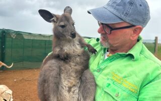 kangaroo-sanctuary-owner-faces-eviction,-meaning-90-rescued-roos-need-a-new-home-too