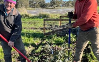 it-takes-a-machine-to-dig-up-35,000-roses.-but-when-the-ground-is-soggy,-it’s-all-down-to-the-farmhands