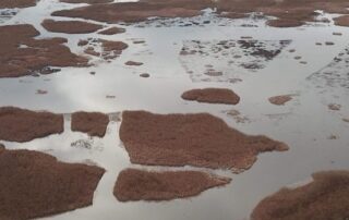 how-a-bold-drainage-plan-started-160-years-ago-opened-up-agricultural-land-for-soldier-settlers