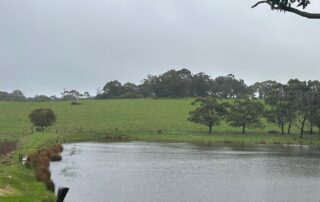 warnings-for-two-dams-at-high-risk-of-failure,-as-severe-weather-continues-across-south-australia