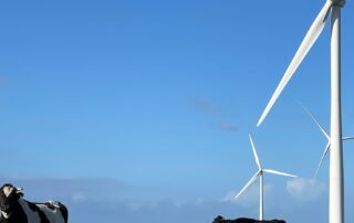 wind-farm-noise-no-worse-than-traffic,-study-by-sleep-researchers-finds