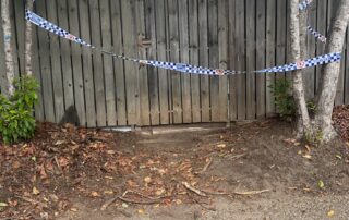 alleged-brisbane-home-invaders-stabbed-pet-dog-in-bid-to-coax-residents-outside,-police-say