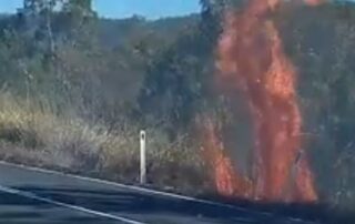 investigation-launched-after-12-suspicious-fires-lit-in-bushland-along-queensland-highway