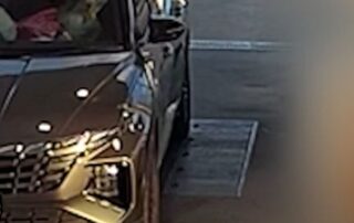 confirmed-sighting-of-bowie-the-stolen-dog-at-yamba-service-station