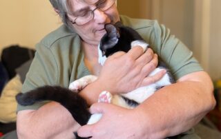 five-month-waiting-list-for-cat-desexing-highlights-impact-of-vet-shortage