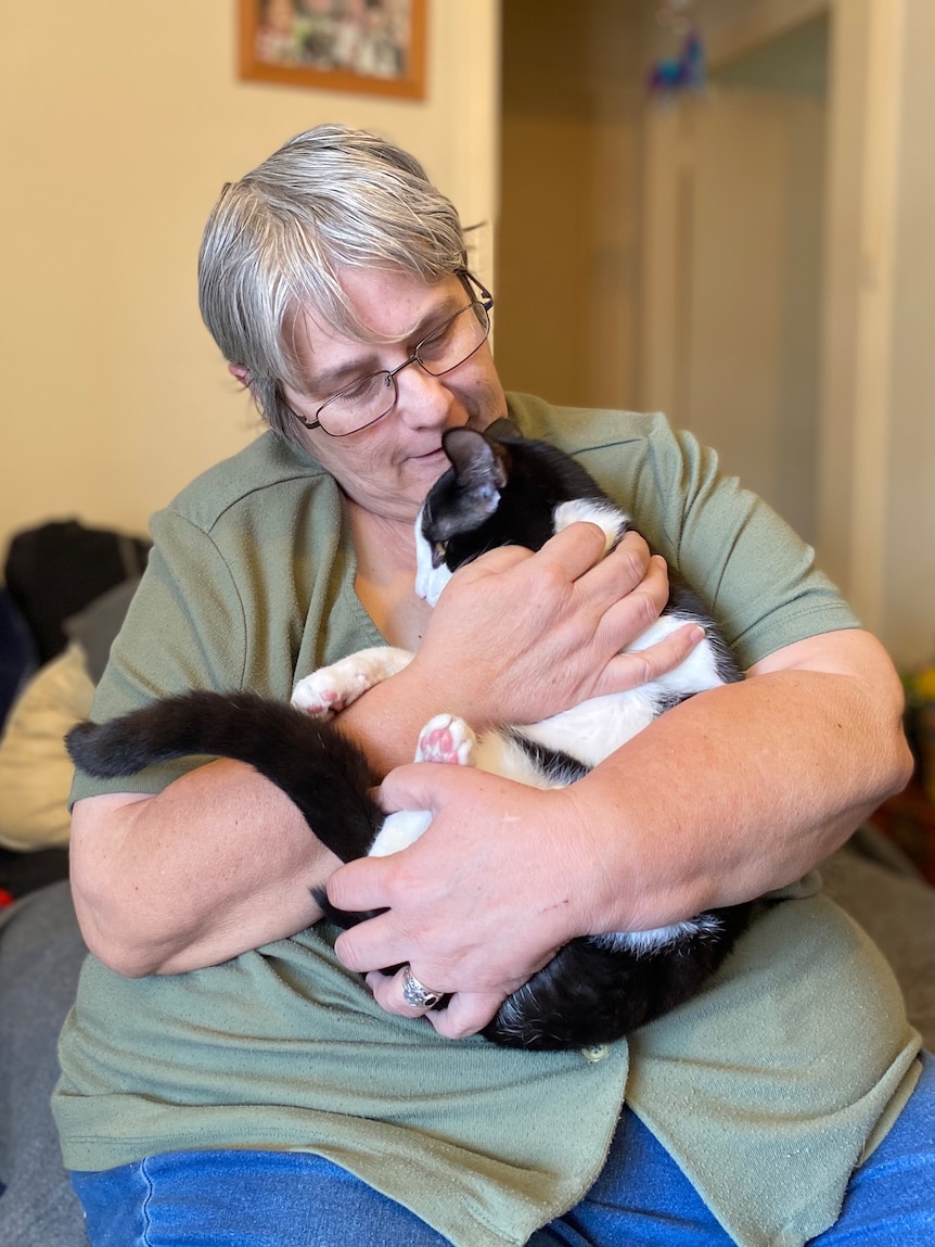 five-month-waiting-list-for-cat-desexing-highlights-impact-of-vet-shortage
