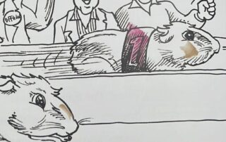 the-legend-of-noble-rot,-the-champ-who-fell-from-grace-in-the-coonawarra-cup-guinea-pig-race